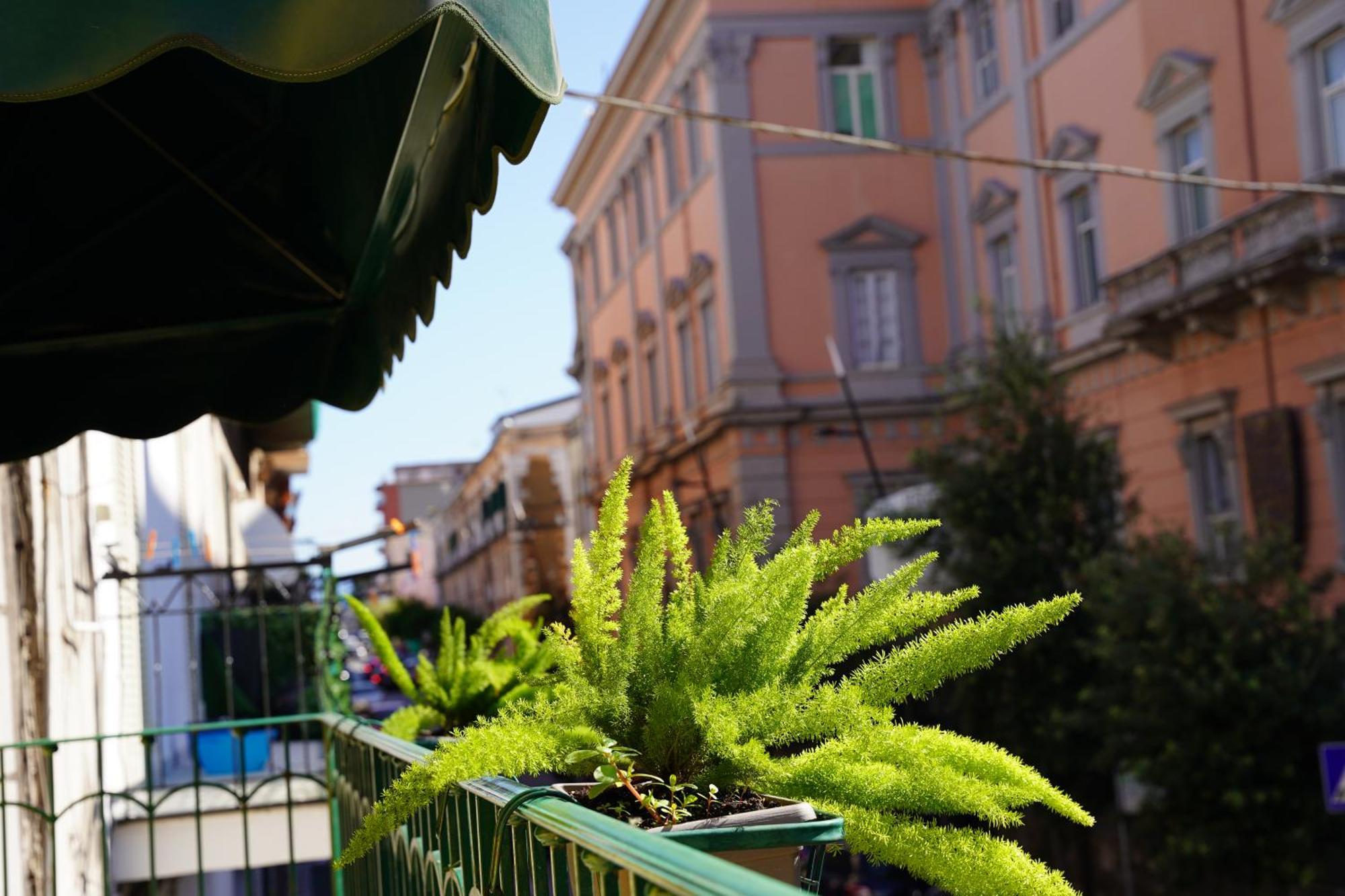 La Maison Di Donna Elena Cercola Buitenkant foto
